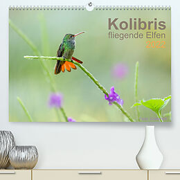 Kalender Kolibris - fliegende Elfen (Premium, hochwertiger DIN A2 Wandkalender 2022, Kunstdruck in Hochglanz) von Falko Düsterhöft