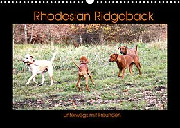 Kalender Rhodesian Ridgeback unterwegs mit Freunden (Wandkalender 2022 DIN A3 quer) von Dagmar Behrens
