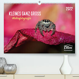 Kalender Kleines ganz gross - Makrofotografie (Premium, hochwertiger DIN A2 Wandkalender 2022, Kunstdruck in Hochglanz) von ellenlichtenheldt