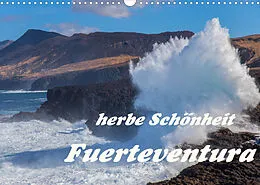 Kalender Herbe Schönheit Fuerteventura (Wandkalender 2022 DIN A3 quer) von Evelyn Taubert