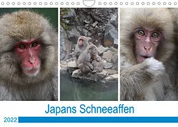 Kalender Japans Schneeaffen (Wandkalender 2022 DIN A4 quer) von Reeh