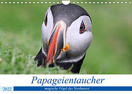 Kalender Papageientaucher 2022 - Magische Vögel des Nordmeers (Wandkalender 2022 DIN A4 quer) von been.there.recently