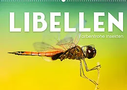 Kalender Libellen - Farbenfrohe Insekten (Wandkalender 2022 DIN A2 quer) von SF