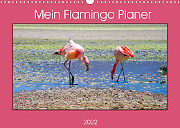 Kalender Mein Flamingo Planer (Wandkalender 2022 DIN A3 quer) von Piera Marlena Büchler