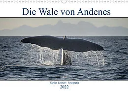 Kalender Die Wale von Andenes (Wandkalender 2022 DIN A3 quer) von Stefan Leimer