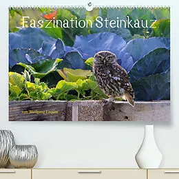 Kalender Faszination Steinkauz (Premium, hochwertiger DIN A2 Wandkalender 2022, Kunstdruck in Hochglanz) von Wolfgang Lequen
