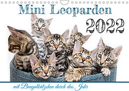 Kalender Mini Leoparden - mit Bengalkätzchen durch das Jahr (Wandkalender 2022 DIN A4 quer) von Bethari - Sylke Enderlein