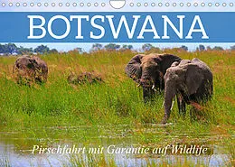 Kalender Botswana- Pirschfahrt mit Garantie auf Wildlife (Wandkalender 2022 DIN A4 quer) von Dr. Werner Altner