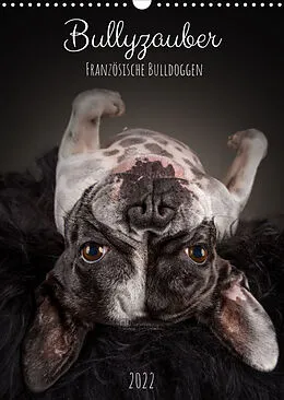 Kalender Bullyzauber - Französische Bulldoggen (Wandkalender 2022 DIN A3 hoch) von Silke Gareis (SCHNAPP-Schuss)