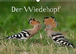 Kalender Der Wiedehopf (Wandkalender 2022 DIN A3 quer) von Wolfgang Lequen