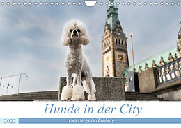 Kalender Hunde in der City - Unterwegs in Hamburg (Wandkalender 2022 DIN A4 quer) von Sonja Teßen