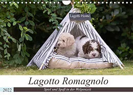 Kalender Lagotto Romagnolo - Spiel und Spaß in der Welpenzeit (Wandkalender 2022 DIN A4 quer) von Sonja Teßen