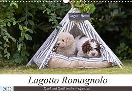 Kalender Lagotto Romagnolo - Spiel und Spaß in der Welpenzeit (Wandkalender 2022 DIN A3 quer) von Sonja Teßen