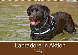 Kalender Labradore in Aktion (Wandkalender 2022 DIN A2 quer) von Claudia Kleemann