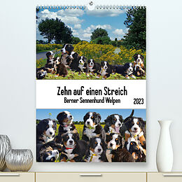 Kalender Zehn auf einen Streich (Premium, hochwertiger DIN A2 Wandkalender 2022, Kunstdruck in Hochglanz) von Claudia Kleemann