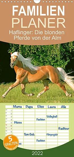 Kalender Familienplaner Haflinger: Die blonden Pferde von der Alm (Wandkalender 2022 , 21 cm x 45 cm, hoch) von CALVENDO