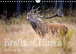Kalender Krafttier Hirsch (Wandkalender 2022 DIN A4 quer) von Schörkhuber Johann