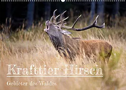 Kalender Krafttier Hirsch (Wandkalender 2022 DIN A2 quer) von Schörkhuber Johann
