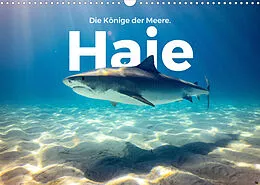 Kalender Haie - Könige der Meere. (Wandkalender 2022 DIN A3 quer) von M. Scott