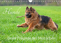Kalender Hunde - Beste Freunde der Menschen (Wandkalender 2022 DIN A4 quer) von Siegfried Kuttig