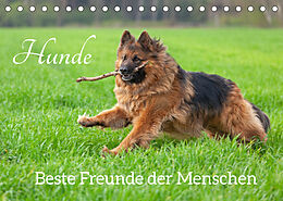 Kalender Hunde - Beste Freunde der Menschen (Tischkalender 2022 DIN A5 quer) von Siegfried Kuttig