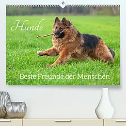 Kalender Hunde - Beste Freunde der Menschen (Premium, hochwertiger DIN A2 Wandkalender 2022, Kunstdruck in Hochglanz) von Siegfried Kuttig