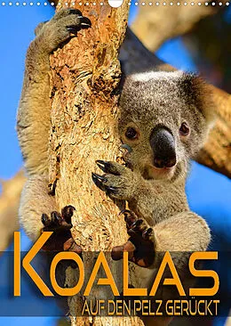 Kalender Koalas auf den Pelz gerückt (Wandkalender 2022 DIN A3 hoch) von Renate Utz
