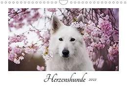 Kalender Herzenshunde 2022 (Wandkalender 2022 DIN A4 quer) von Madlen Kudla - Photographie