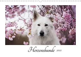 Kalender Herzenshunde 2022 (Wandkalender 2022 DIN A3 quer) von Madlen Kudla - Photographie