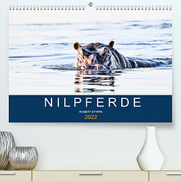 Kalender Nilpferde, Kolosse in Afrika (Premium, hochwertiger DIN A2 Wandkalender 2022, Kunstdruck in Hochglanz) von Robert Styppa