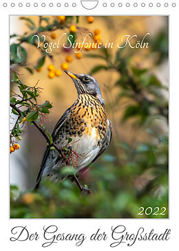 Kalender Vogel Sinfonie in Köln (Wandkalender 2022 DIN A4 hoch) von Antje Rosenthal