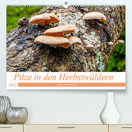Kalender Pilze in den Herbstwäldern (Premium, hochwertiger DIN A2 Wandkalender 2022, Kunstdruck in Hochglanz) von Alain Gaymard