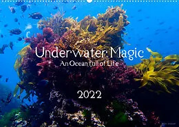 Kalender Underwater Magic (Wandkalender 2022 DIN A2 quer) von Kira Izabela Kremer