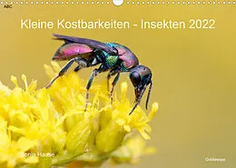 Kalender Kleine Kostbarkeiten Insekten (Wandkalender 2022 DIN A3 quer) von Sonja Haase