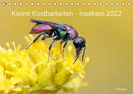 Kalender Kleine Kostbarkeiten Insekten (Tischkalender 2022 DIN A5 quer) von Sonja Haase