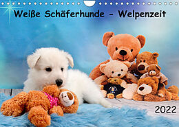Kalender Weiße Schäferhunde - Welpenzeit (Wandkalender 2022 DIN A4 quer) von Diana Hachmeyer