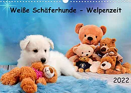 Kalender Weiße Schäferhunde - Welpenzeit (Wandkalender 2022 DIN A3 quer) von Diana Hachmeyer