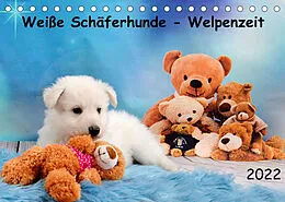 Kalender Weiße Schäferhunde - Welpenzeit (Tischkalender 2022 DIN A5 quer) von Diana Hachmeyer