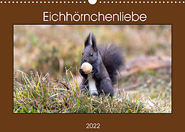 Kalender Eichhörnchenliebe (Wandkalender 2022 DIN A3 quer) von Teresa Bauer