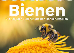 Kalender Bienen - Die fleißigen Tierchen die den Honig herstellen. (Wandkalender 2022 DIN A2 quer) von M. Scott