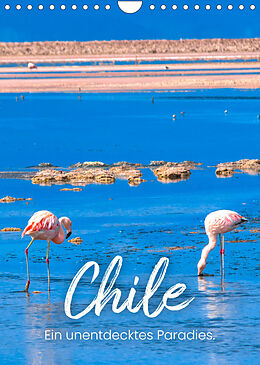 Kalender Chile - Ein unentdecktes Paradies. (Wandkalender 2023 DIN A4 hoch) von SF