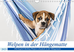 Kalender Welpen in der Hängematte (Wandkalender 2023 DIN A4 quer) von Fotodesign Verena Scholze