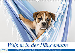 Kalender Welpen in der Hängematte (Wandkalender 2023 DIN A3 quer) von Fotodesign Verena Scholze