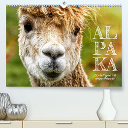 Kalender Alpaka, coole Typen mit wilden Frisuren (Premium, hochwertiger DIN A2 Wandkalender 2023, Kunstdruck in Hochglanz) von Sabine Löwer