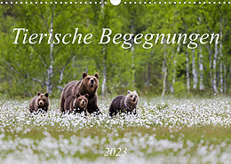 Kalender Tierische Begegnungen (Wandkalender 2023 DIN A3 quer) von Daniela Beyer (Moqui)
