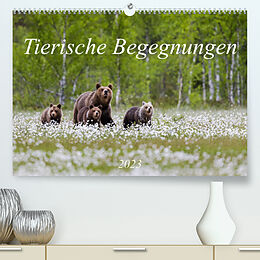 Kalender Tierische Begegnungen (Premium, hochwertiger DIN A2 Wandkalender 2023, Kunstdruck in Hochglanz) von Daniela Beyer (Moqui)