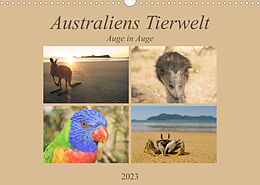 Kalender Australiens Tierwelt - Auge in Auge (Wandkalender 2023 DIN A3 quer) von Martin Wasilewski