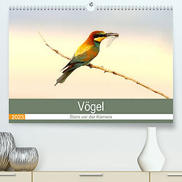 Kalender Vögel Stars vor der Kamera (Premium, hochwertiger DIN A2 Wandkalender 2023, Kunstdruck in Hochglanz) von J R Bogner