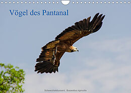 Kalender Vögel des Pantanal (Wandkalender 2023 DIN A4 quer) von Jürgen Wöhlke