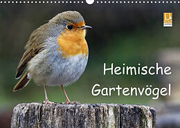 Kalender Heimische Gartenvögel (Wandkalender 2023 DIN A3 quer) von Dieter Wilczek